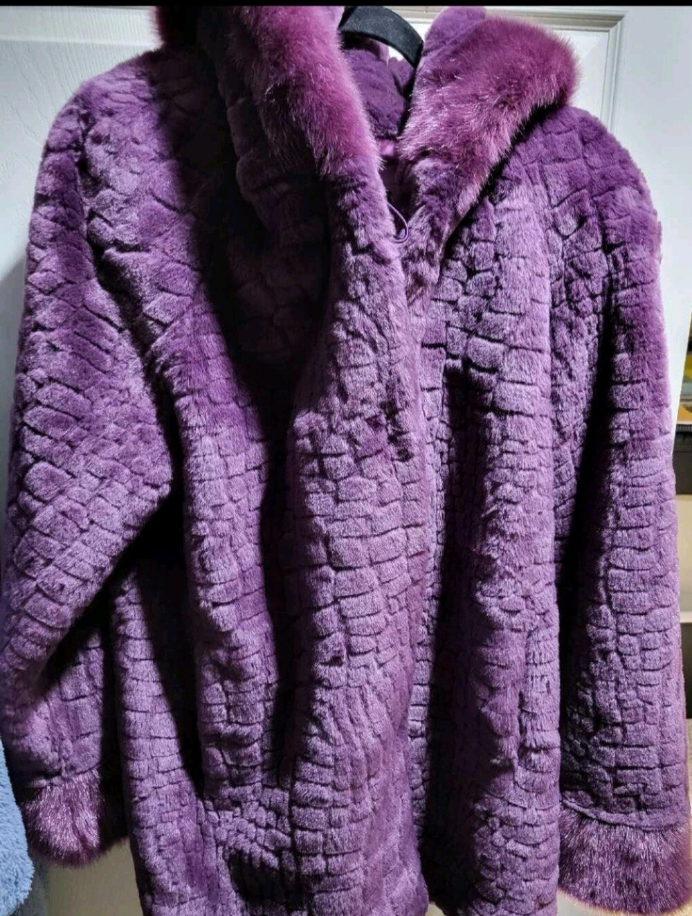 Plush Purple Teddy Hooded Coat